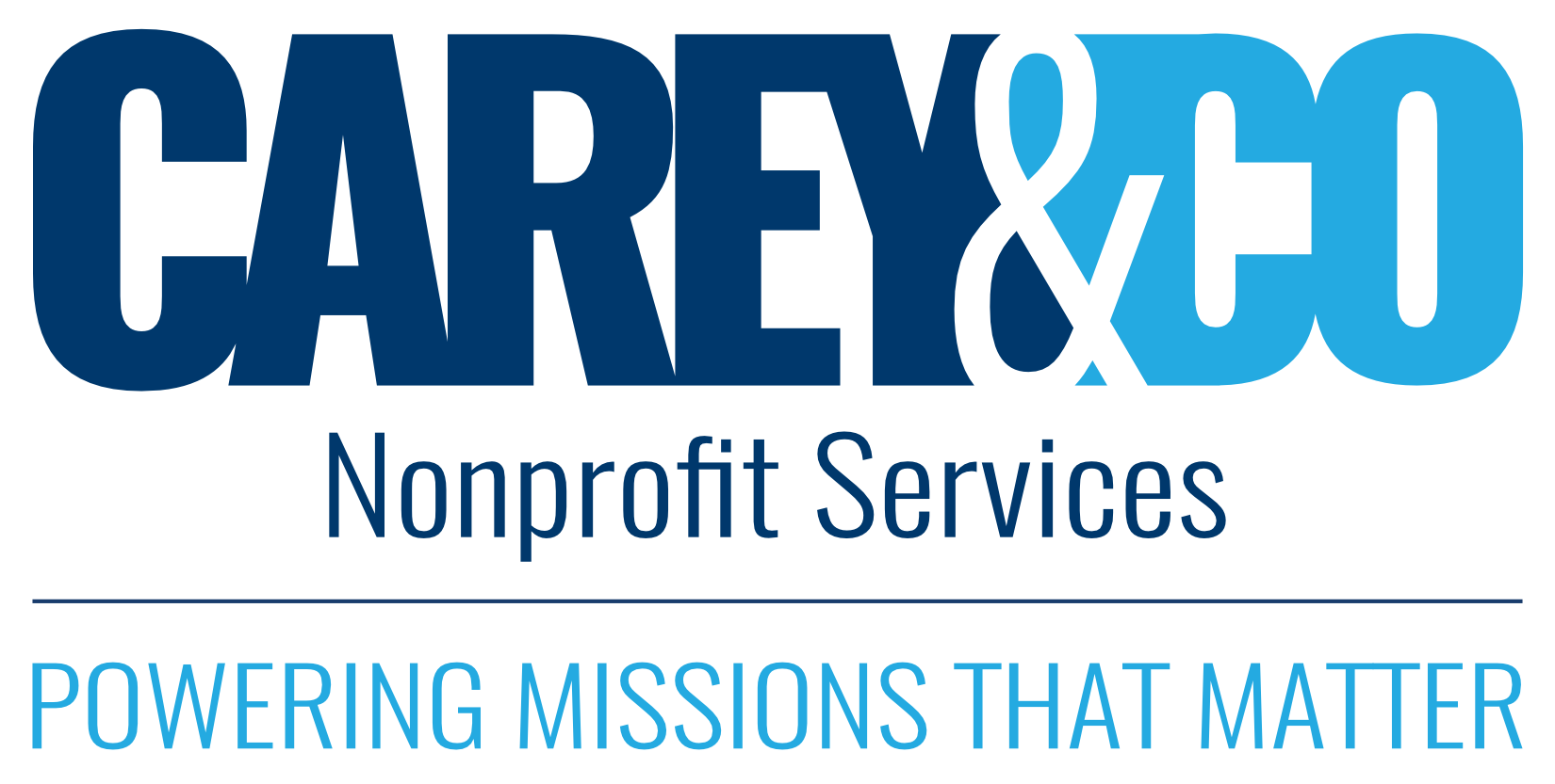 Carey & Co. Nonprofit Services